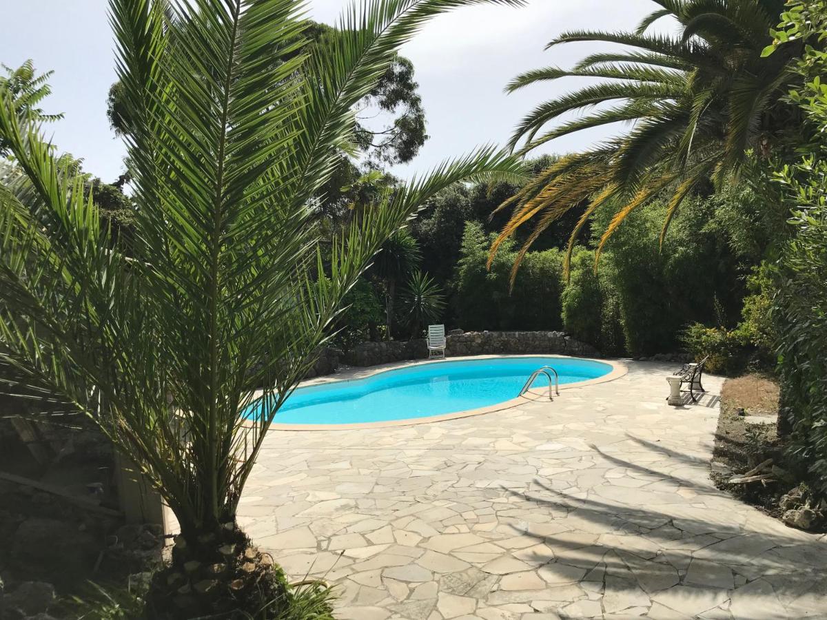 Independent One bedroom Apartment Antibes Buitenkant foto